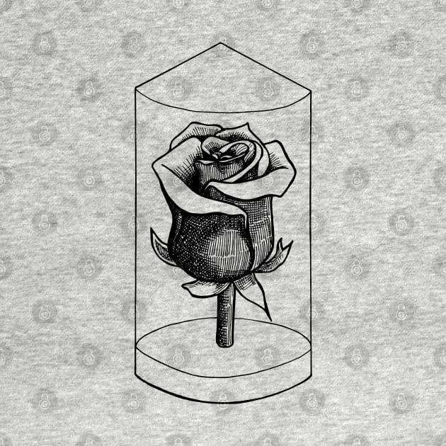 Rose by senkova